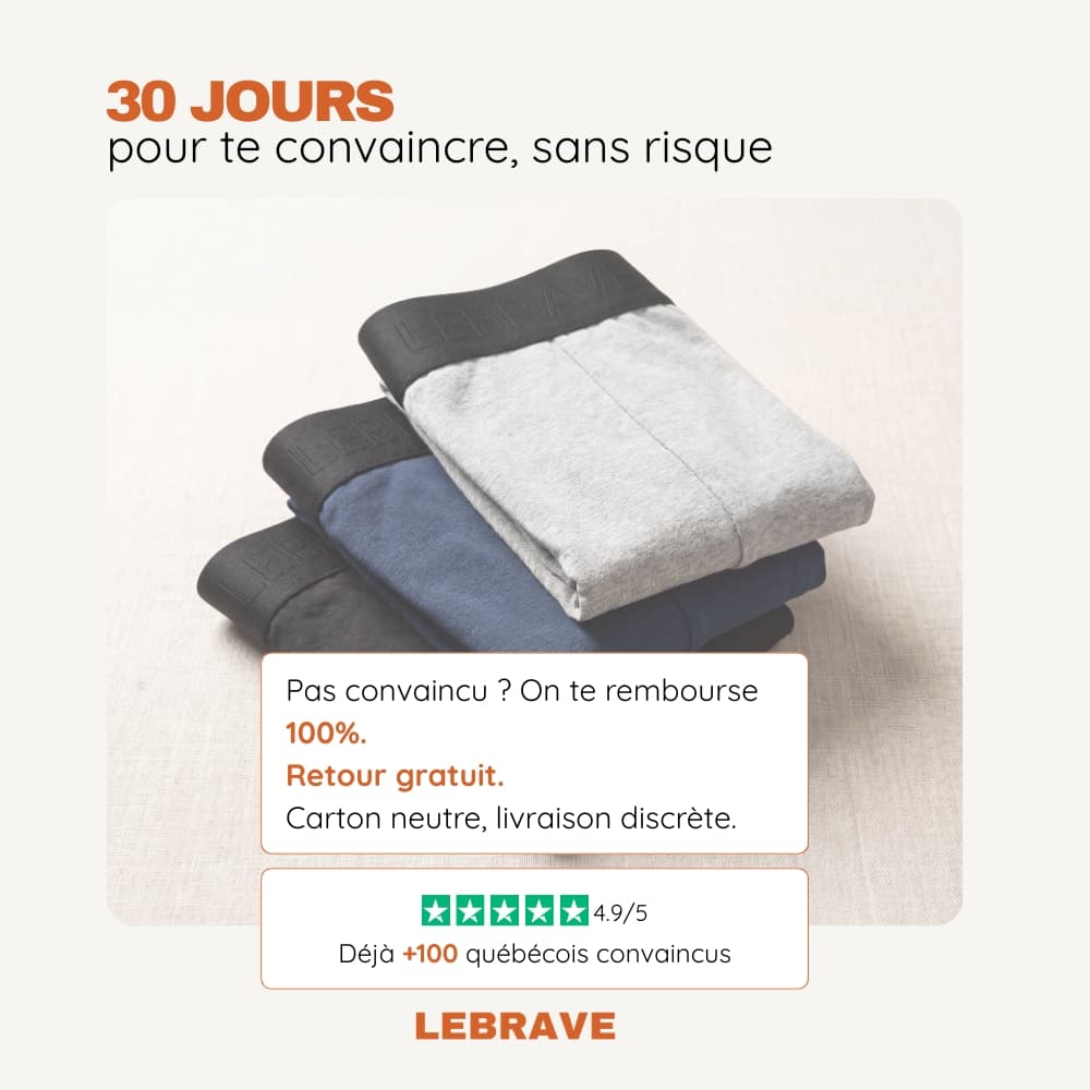 Le Boxer Brave
