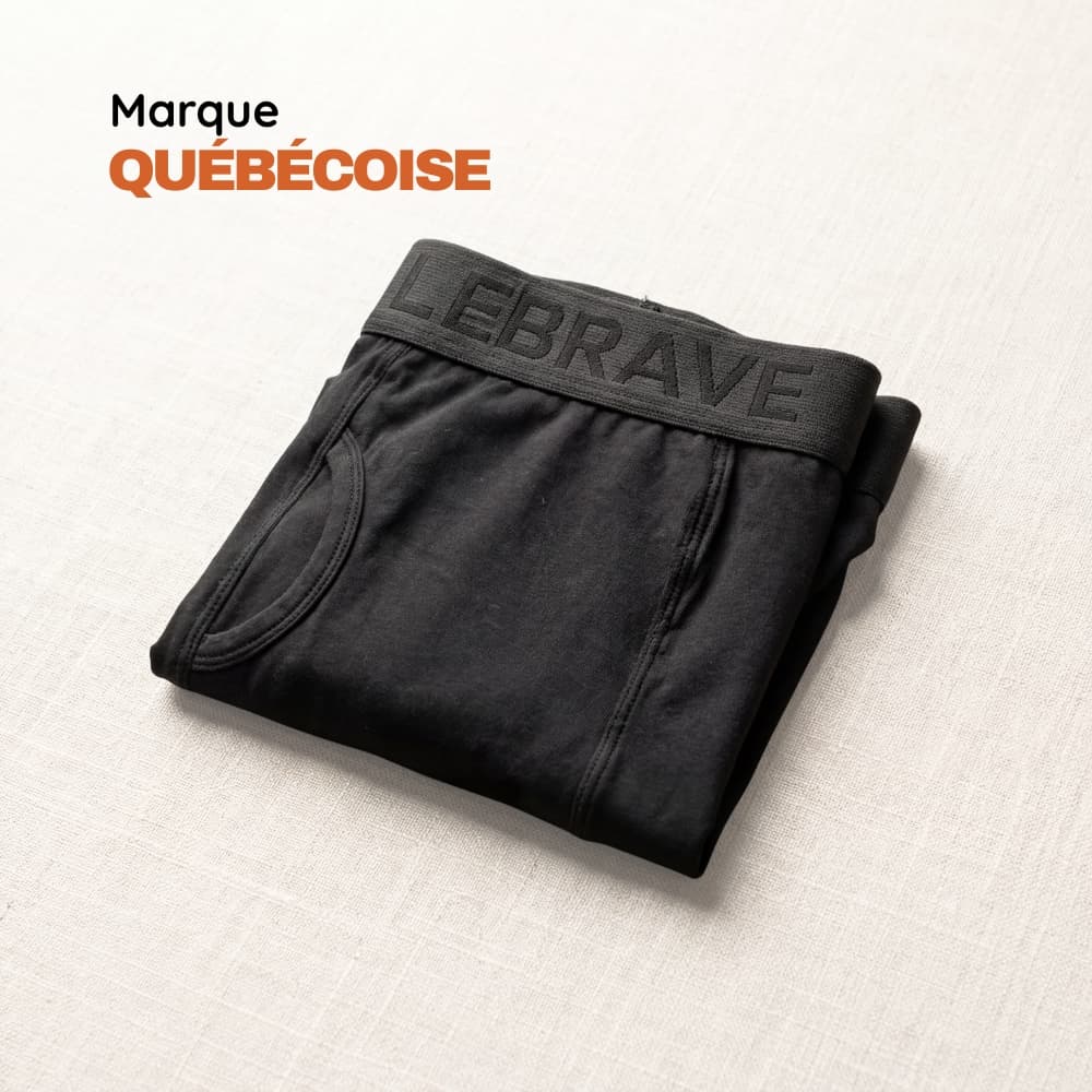 Le Boxer Brave