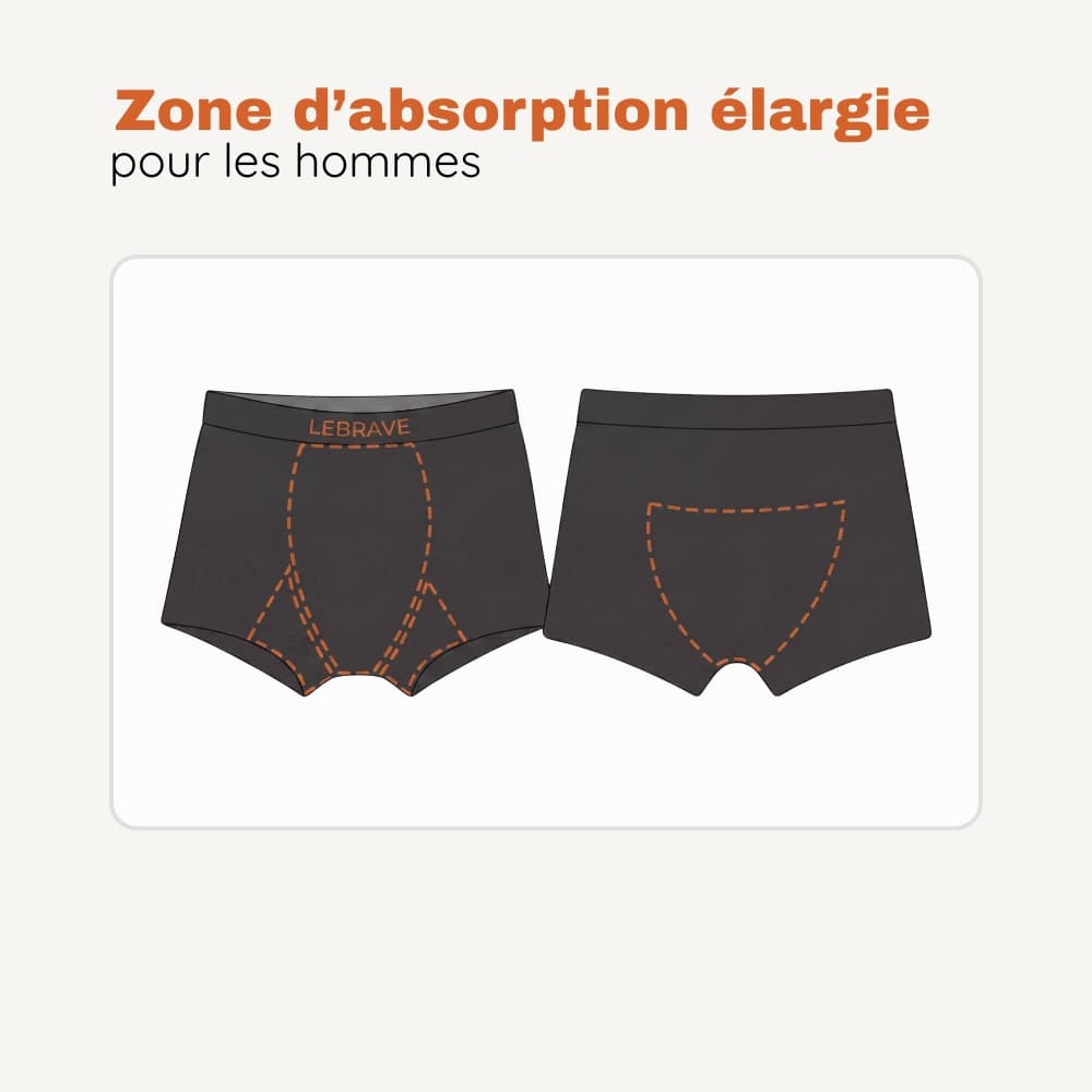 Le Boxer Brave