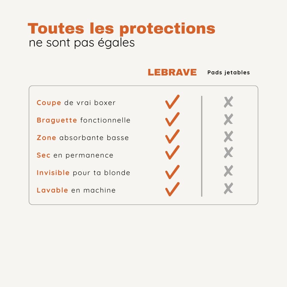 Le Boxer Brave